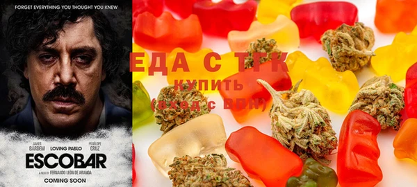 стаф Алзамай