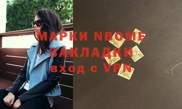 стаф Алзамай