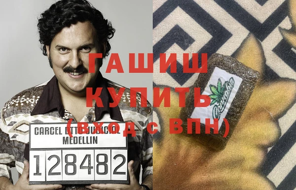 стаф Алзамай
