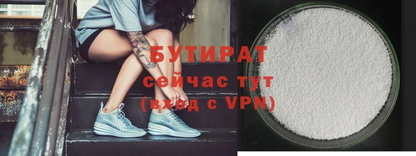 стаф Алзамай