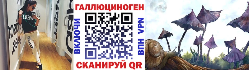 даркнет сайт  OMG ссылка  Псилоцибиновые грибы Cubensis  Карачаевск 